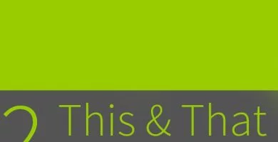 Clase 2 - This & That (negative) 2