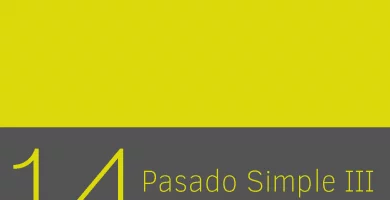 Clase 14 - Pasado Simple III: Verbos Irregulares I 3