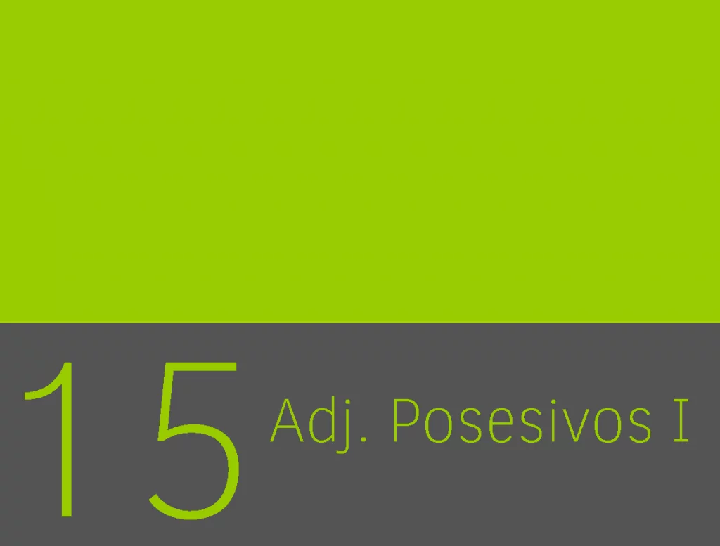 Clase 15 - Adjetivos posesivos I 1
