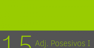 Clase 15 - Adjetivos posesivos I 1