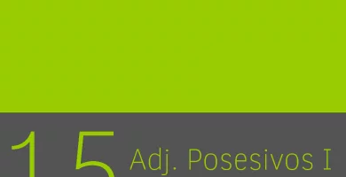 Clase 15 - Adjetivos posesivos I 8
