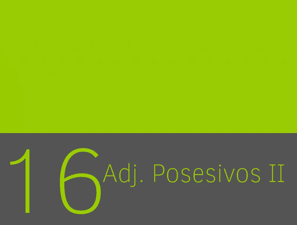 Adjetivos posesivos plurales