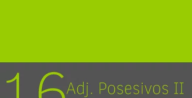 Adjetivos posesivos plurales